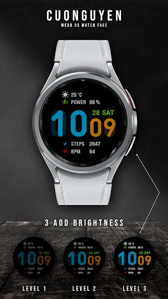 Watch face CNW0029 screenshot 2