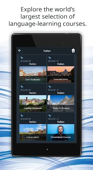 Learn 163 Languages | Bluebird screenshot 9