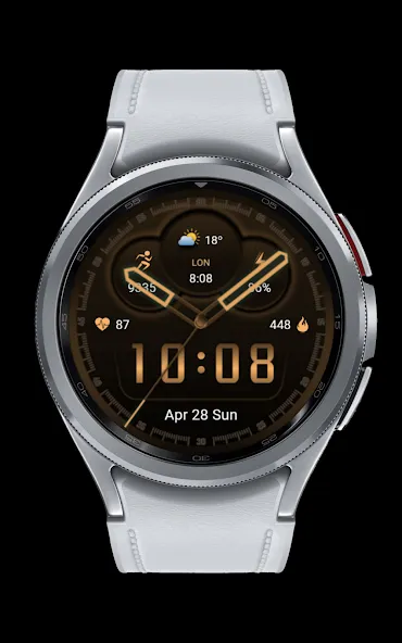 CNRwatch048 screenshot 5