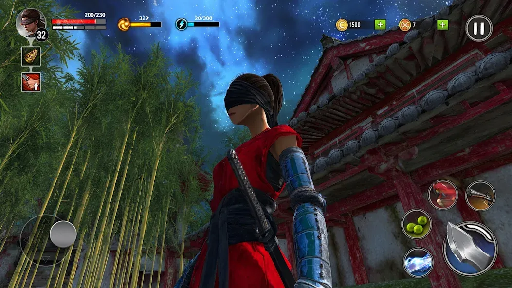 Ninja Ryuko: Shadow Ninja Game screenshot 2