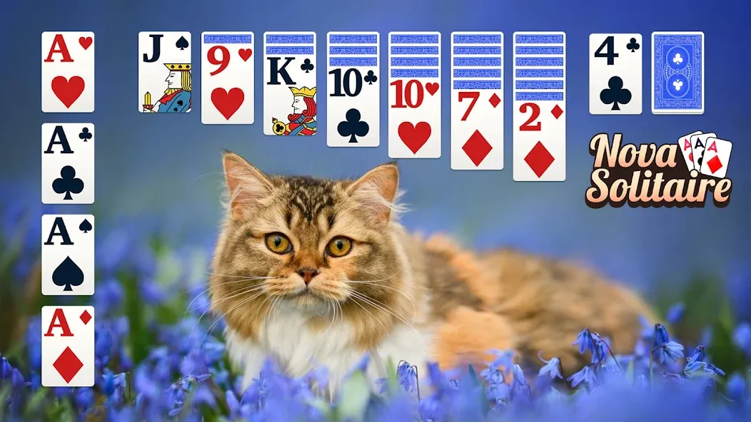 Solitário Clássico:Jogo Cartas screenshot 15