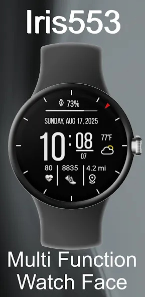 Iris553 Multi-Function Digital screenshot 17