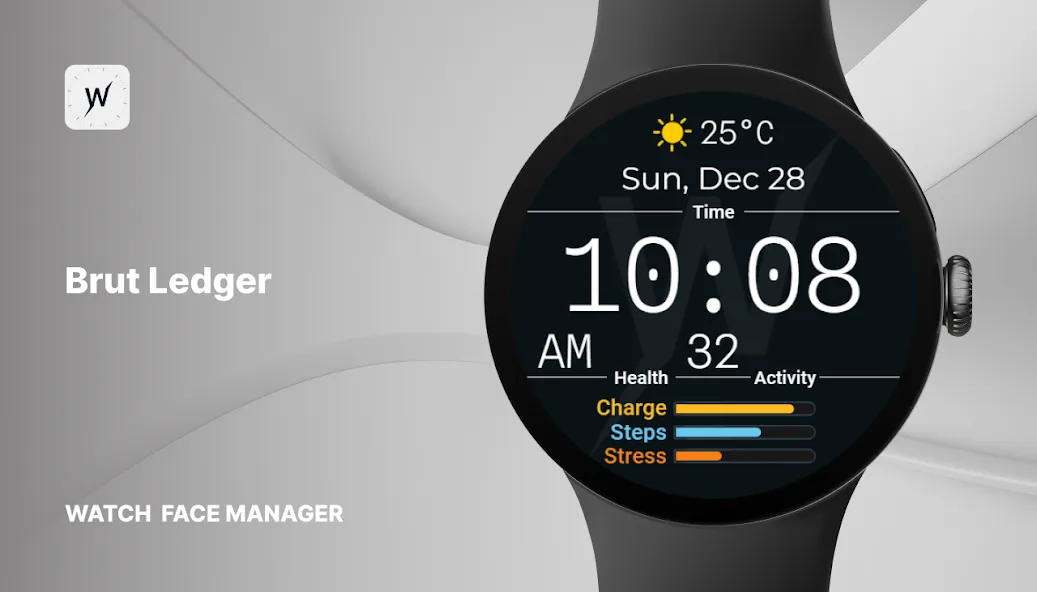 Brut Ledger Watch Face screenshot 1
