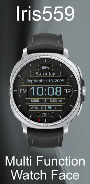Iris559 Multi-Function Digital screenshot 4