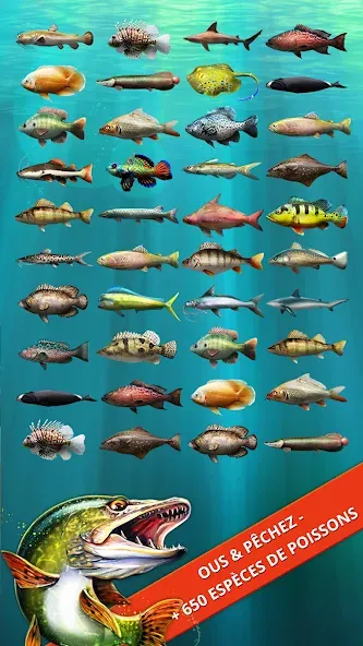Let's Fish: Jeu de Pêche screenshot 3