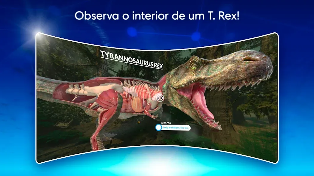 DK Virtual Reality screenshot 4