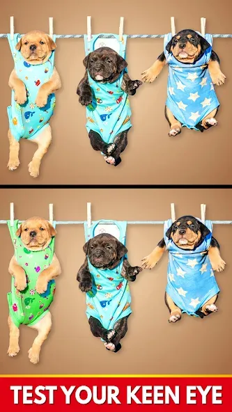Find The Differences - Spot it screenshot 3