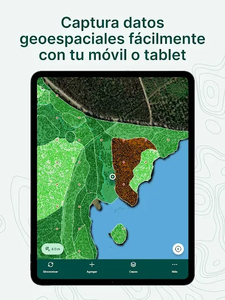 Mergin Maps: QGIS a mano screenshot 19