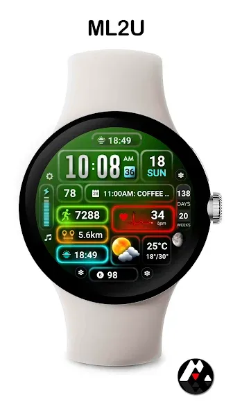 ML2U 251 Watch Face screenshot 3
