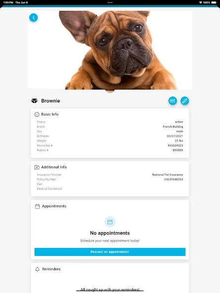 PetPage screenshot 19