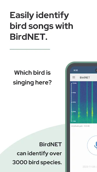 BirdNET screenshot 2
