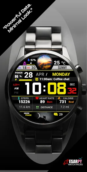ES WR0021 screenshot 3