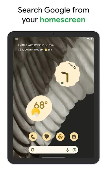 Google screenshot 11