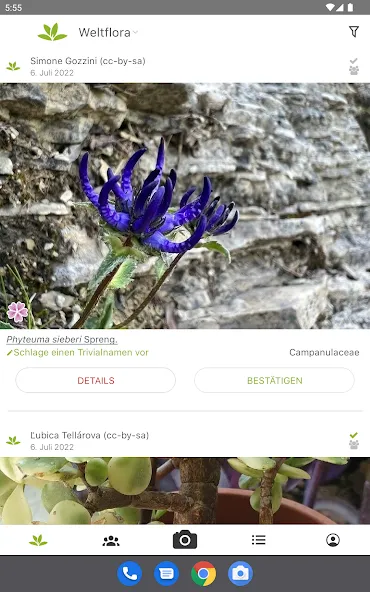 Pl@ntNet Pflanzenbestimmung screenshot 8