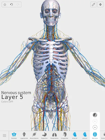 Visual Anatomy 3D - Human body screenshot 15