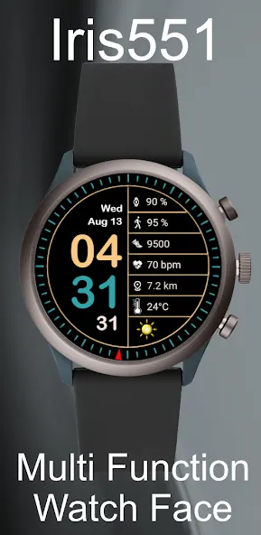 Iris551 Multi-Function Digital screenshot 3