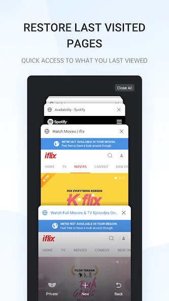 Internet Browser screenshot 2