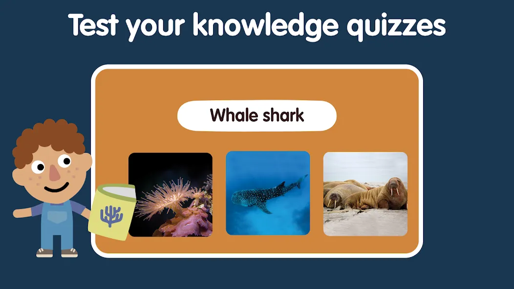 Learn Ocean Animals for kids screenshot 8