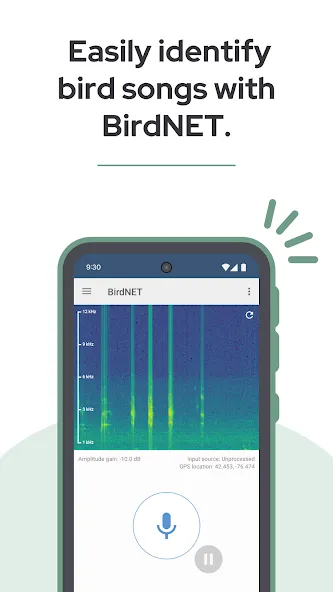 BirdNET screenshot 1