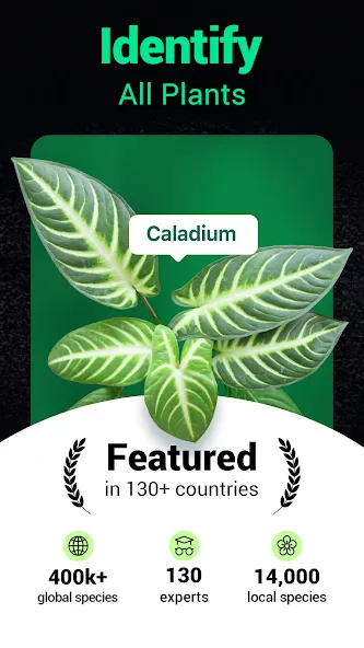 Plantum - Plant Identifier screenshot 25