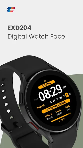 EXD204: Personal Watch Face screenshot 1