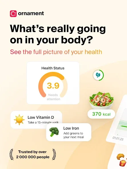 Ornament: Your Health Coach screenshot 8