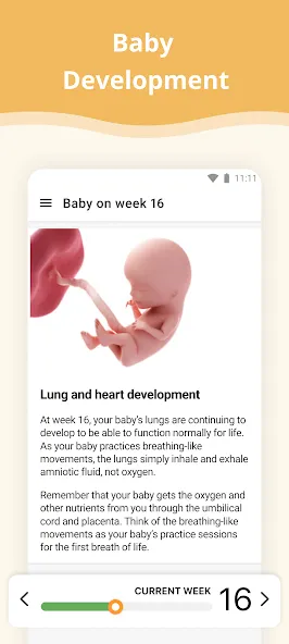 Pregnancy App screenshot 2