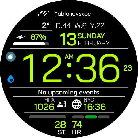 Chester Inform watch face screenshot 20