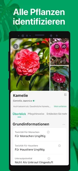 PictureThis:Pflanzen bestimmen screenshot 2