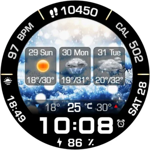 Animated Weather 3 Days Data screenshot 21
