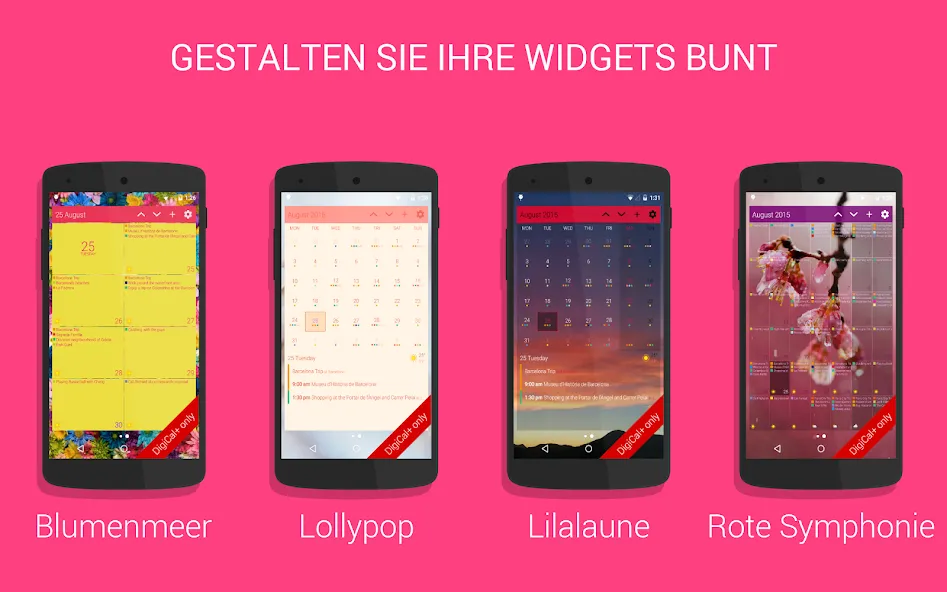 DigiCal Kalender screenshot 12