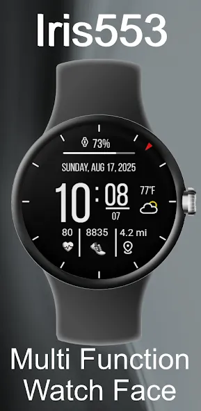 Iris553 Multi-Function Digital screenshot 1