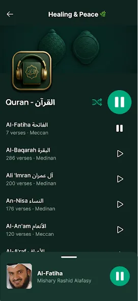 Quran Player Audio Offline screenshot 5
