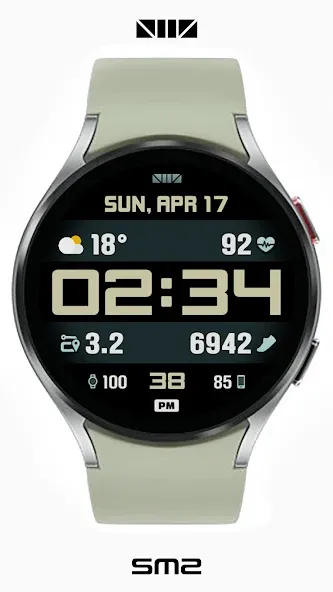 SMZ DS003 screenshot 3