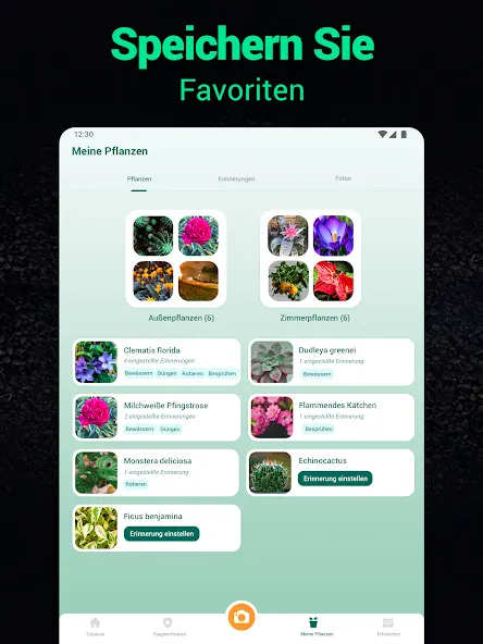 Plantum - Pflanzen bestimmen screenshot 16