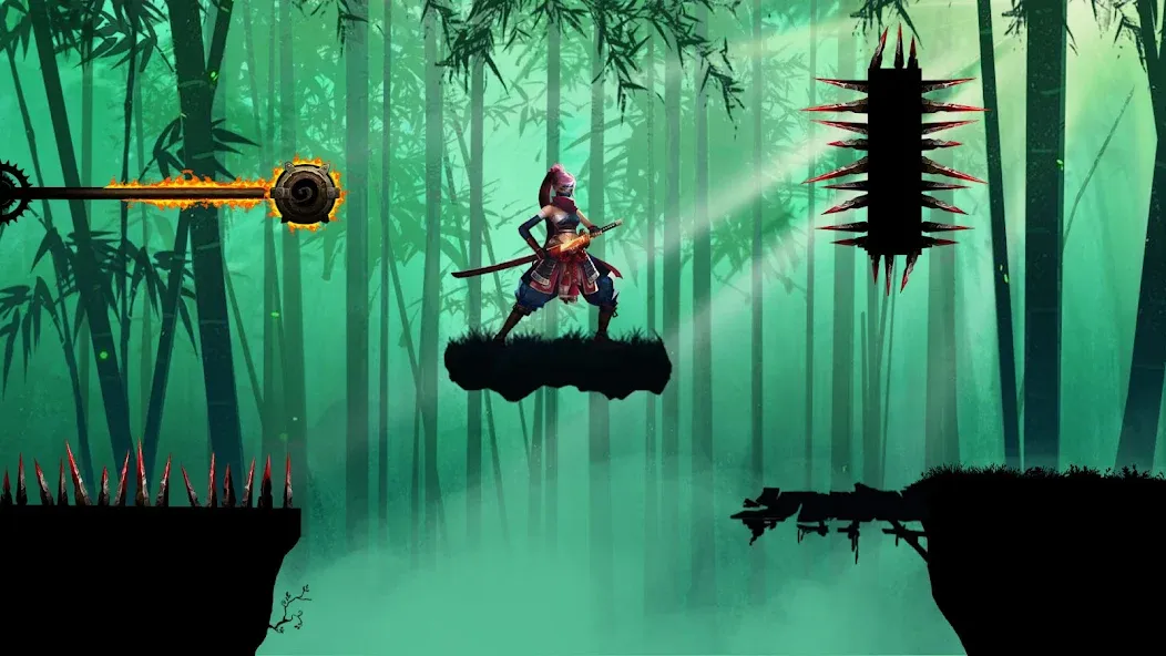 Kaz Warrior 3 - Shinobi Legend screenshot 5