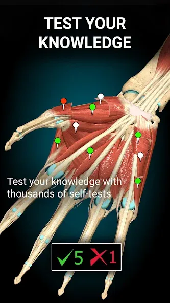 Anatomy Learning - 3D Anatomy screenshot 5