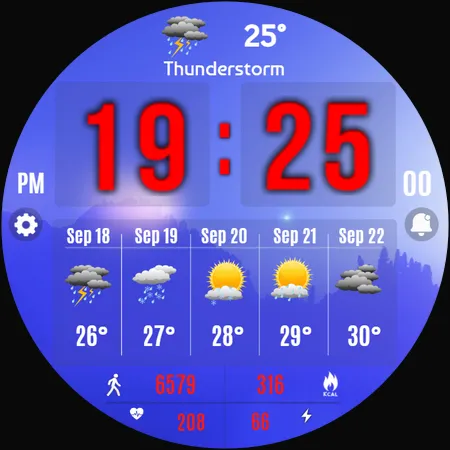 Forecast Weather Digital screenshot 33