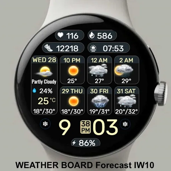Weather Board 2 Black IW10 screenshot 3