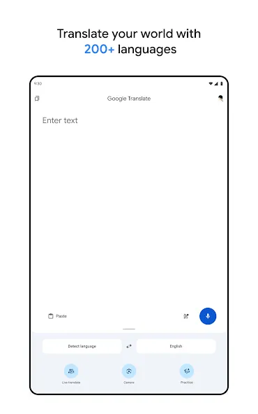 Google Translate screenshot 10