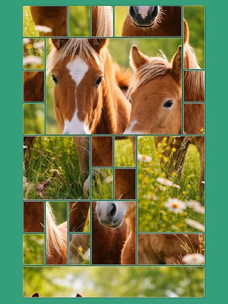 Cardscapes™: Jigsaw Puzzle screenshot 10