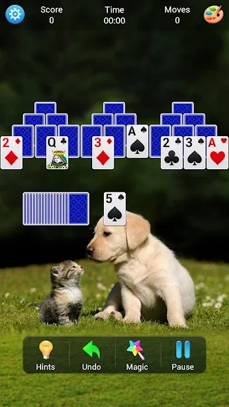 Solitaire Collection screenshot 8
