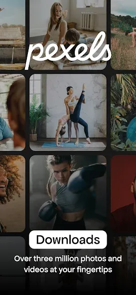 Pexels: HD+ videos & photos screenshot 1