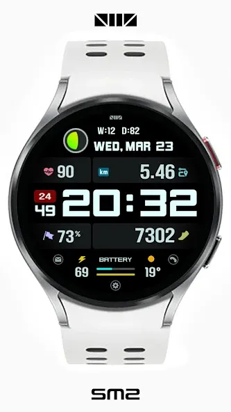 SMZ Chameleon 21En screenshot 3