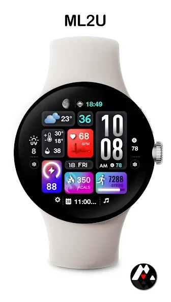 ML2U 242 Watch Face screenshot 1