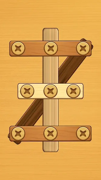 Screw Puzzle: Wood Nut & Bolt™ screenshot 2