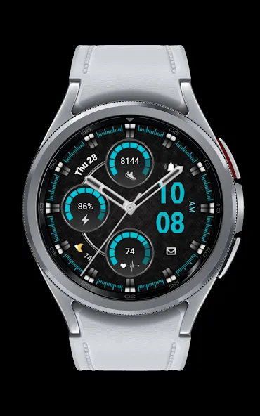 CNRwatch038 screenshot 2