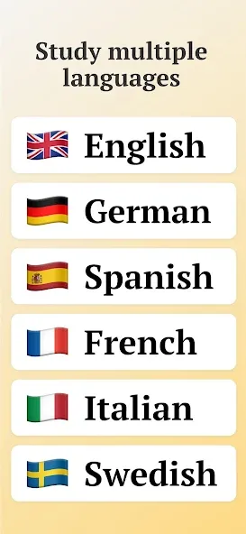 Vocabulary flashcards: Vocabuo screenshot 3