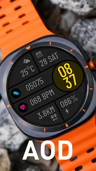 POLO Watch Face screenshot 6