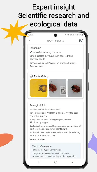Insektenidentifikator screenshot 6